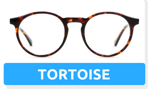 Tortoise Frame