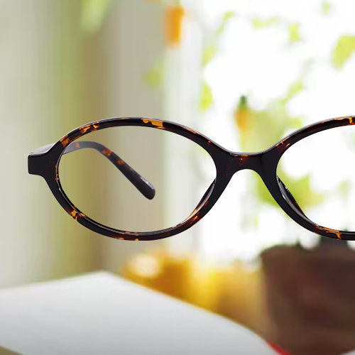 Reading Glasses