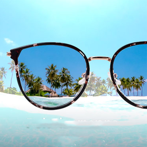 Polarized Sunglasses